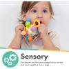 image:imageNuby Twist Ball Teether Activity Toy with Rattle and Fun Bright Colors  Montessori Sensory Toy Develops Fine Motor Skills  3  MonthsTwist Ball Teether
