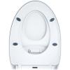image:imageNuby Family Toilet Seat  Builtin Potty Training Toilet Seat  Fits All Elongated Toilets  Secure and WiggleFree  Easy to Install and RemoveModern