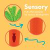 image:imageNuby NanaNubs Banana Massaging Toothbrush and Carrot Teether  2 Pack Baby Teething Toys for 3 MonthsCarrot Tube Teether  Carrot Massaging Teether