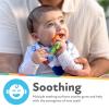 image:imageNuby NanaNubs Banana Massaging Toothbrush and Carrot Teether  2 Pack Baby Teething Toys for 3 MonthsNanaNubs  Carrot Massaging Teether