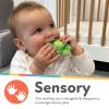 image:imageNuby Teethe N Pop Sensory Play Teether  Baby Teething Toy  3 Months  TurtleTurtle Teethe N Pop
