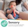 image:imageNuby Tube Teether  2Pack Baby Teething Toy  3 Months  Elephant and GiraffeLlama  Dinosaur