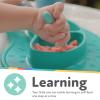 image:imageNuby Babys First Spoons Set  3Pack Feeding Utensils for Babies  6 MonthsSerene