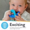 image:imageNuby Geo Zoos Massaging Teether  Baby Teething Toy  Soft Easy Grip  3 Months  Elephant  Easter Basket Stuffer