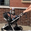 image:imageNuby Safari Activity Spiral for Strollers Car Seats and TravelSingle